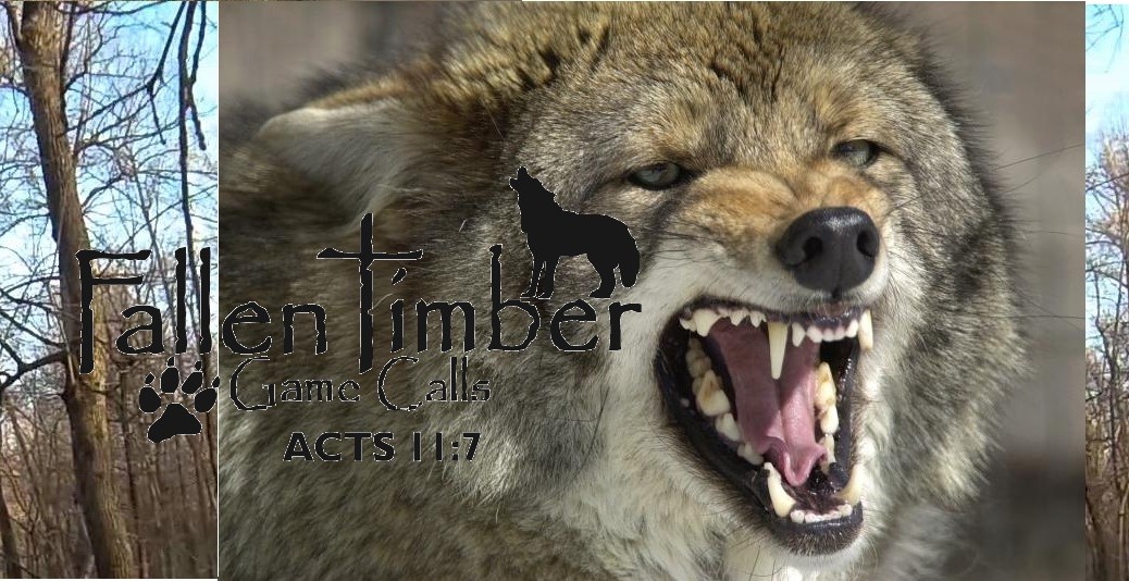 coyote banner2