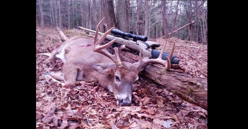 deer banner