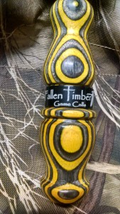 goose bumblebee