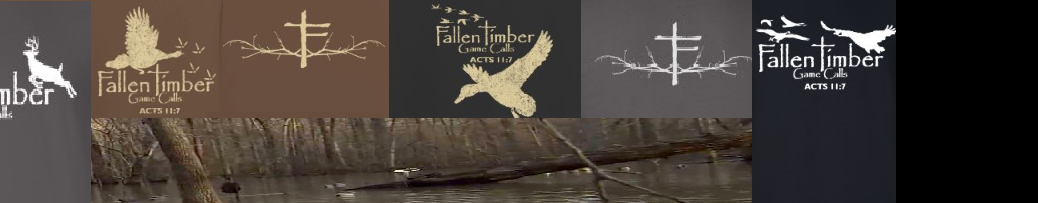 shirt banner